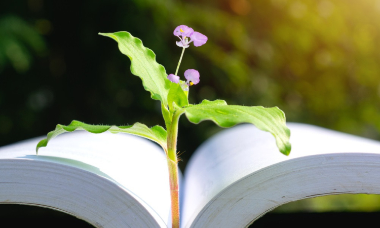 I Stock 1051827738 kopie